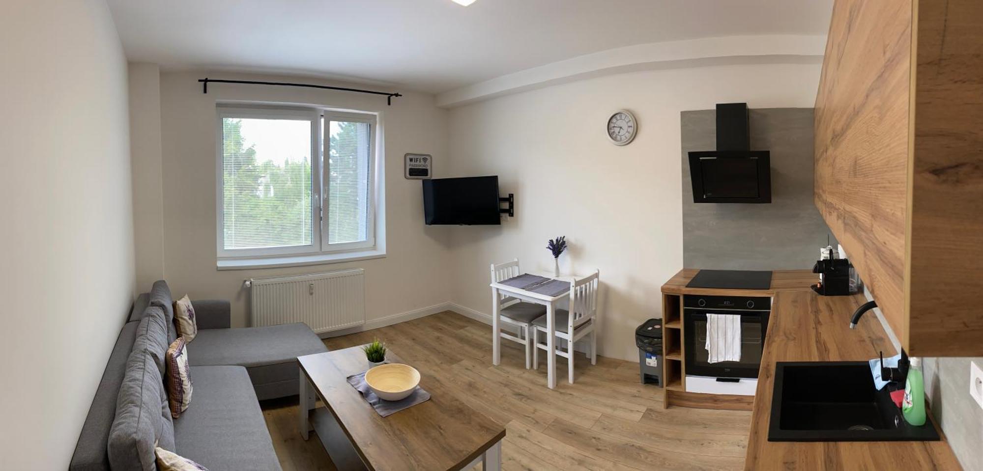 Luxury Apartments Stud - Vb Ostrava Esterno foto